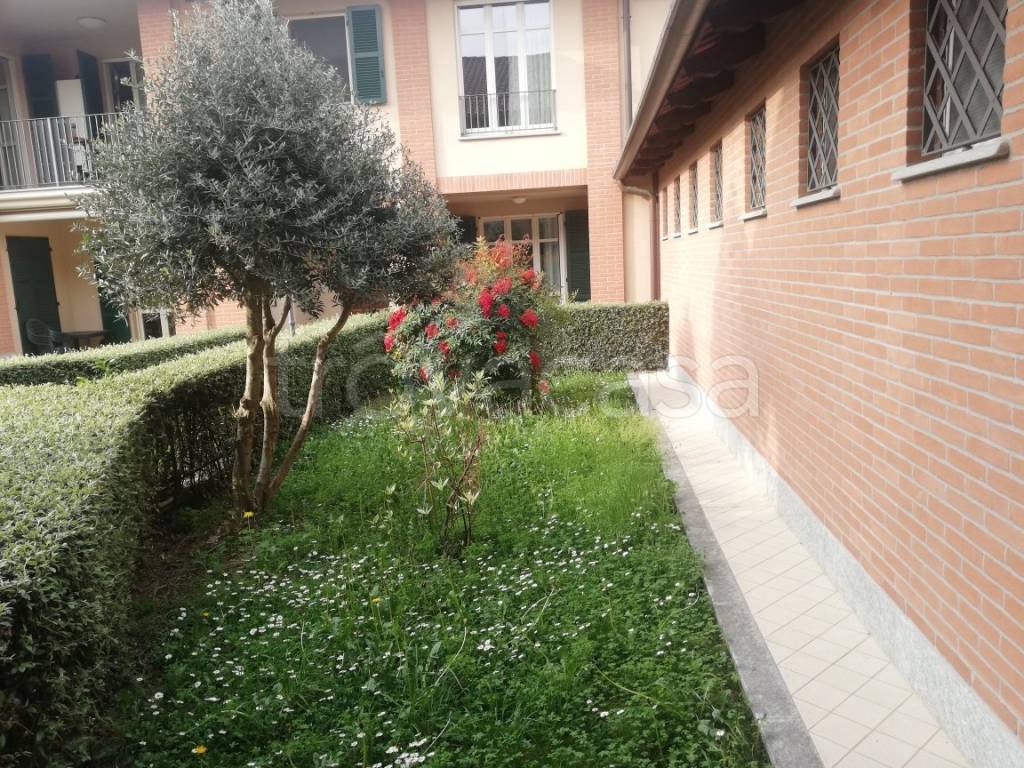 immagine annuncio 12 di 15