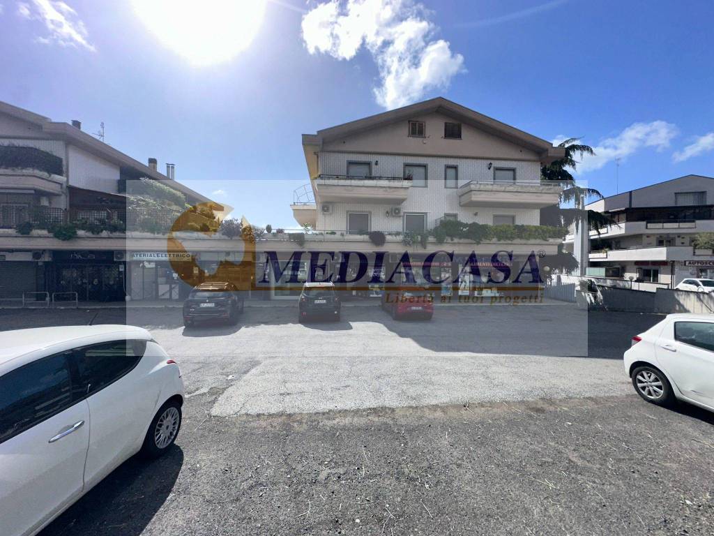 immagine annuncio 2 di 14