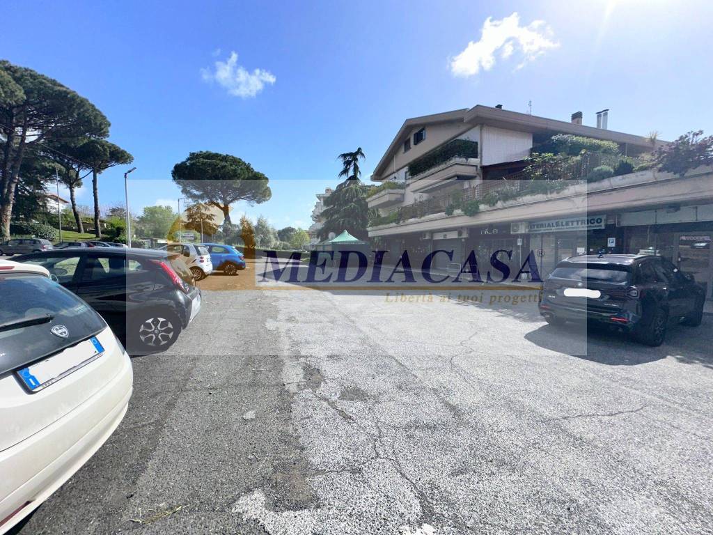 immagine annuncio 1 di 14