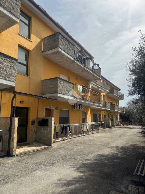 immagine annuncio 1 di 14