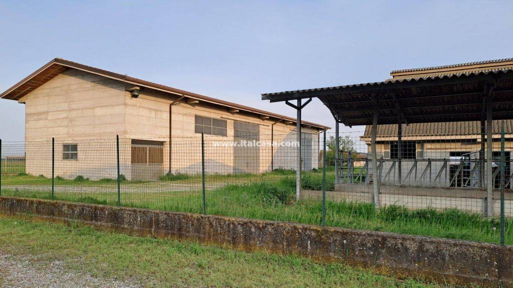 immagine annuncio 1 di 14