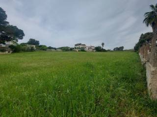 Terreno agricolo in vendita a pulsano viale dei fornai, 8