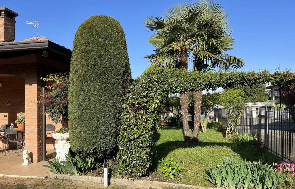 immagine annuncio 7 di 15