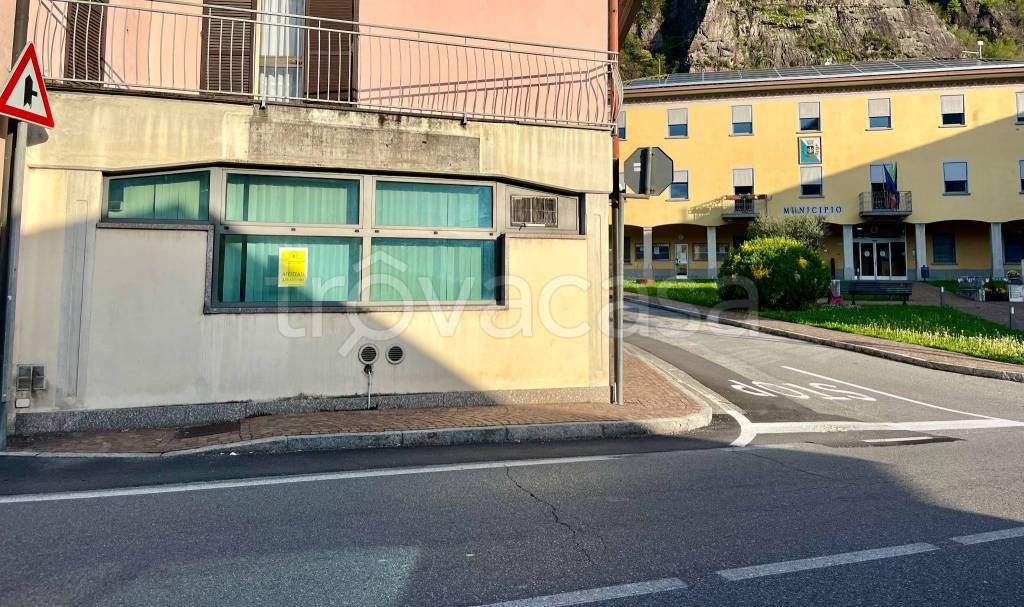 immagine annuncio 2 di 3