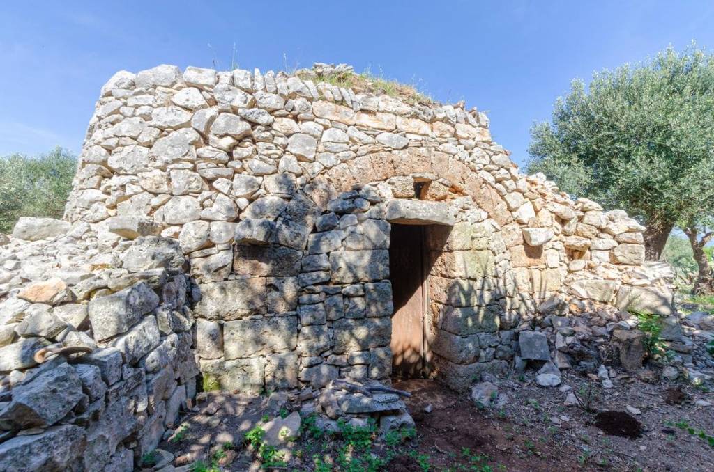 immagine annuncio 2 di 13