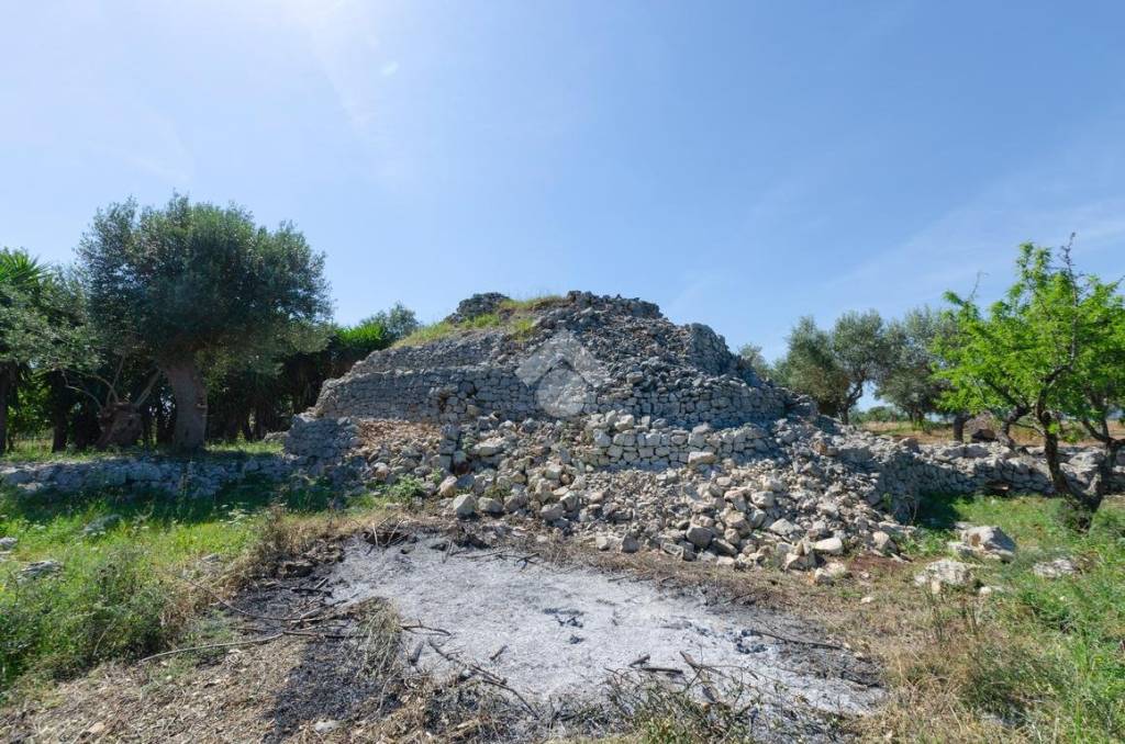 immagine annuncio 10 di 13