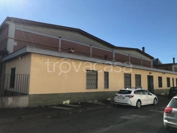 immagine annuncio 8 di 12