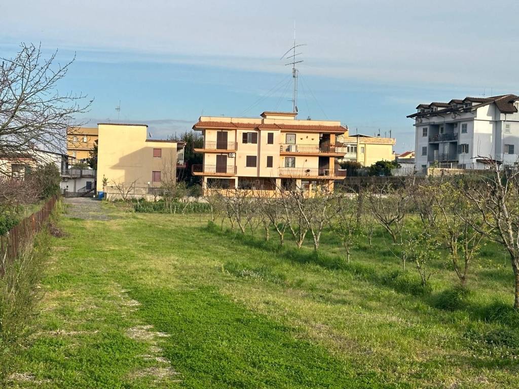immagine annuncio 3 di 7