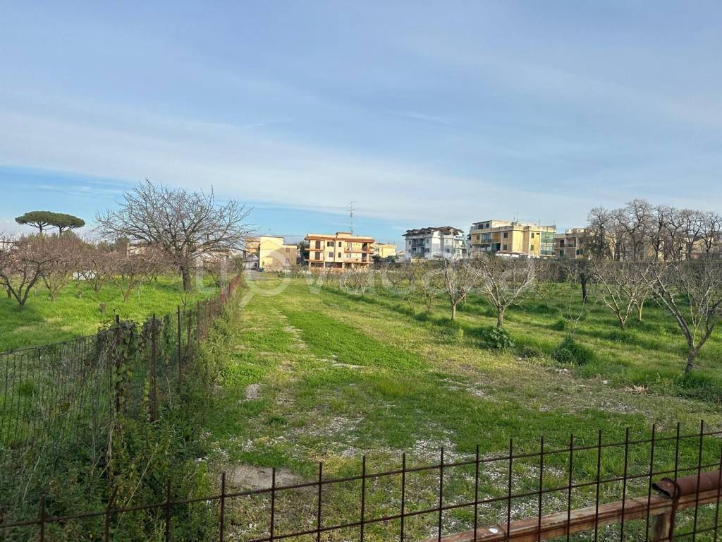 immagine annuncio 4 di 7