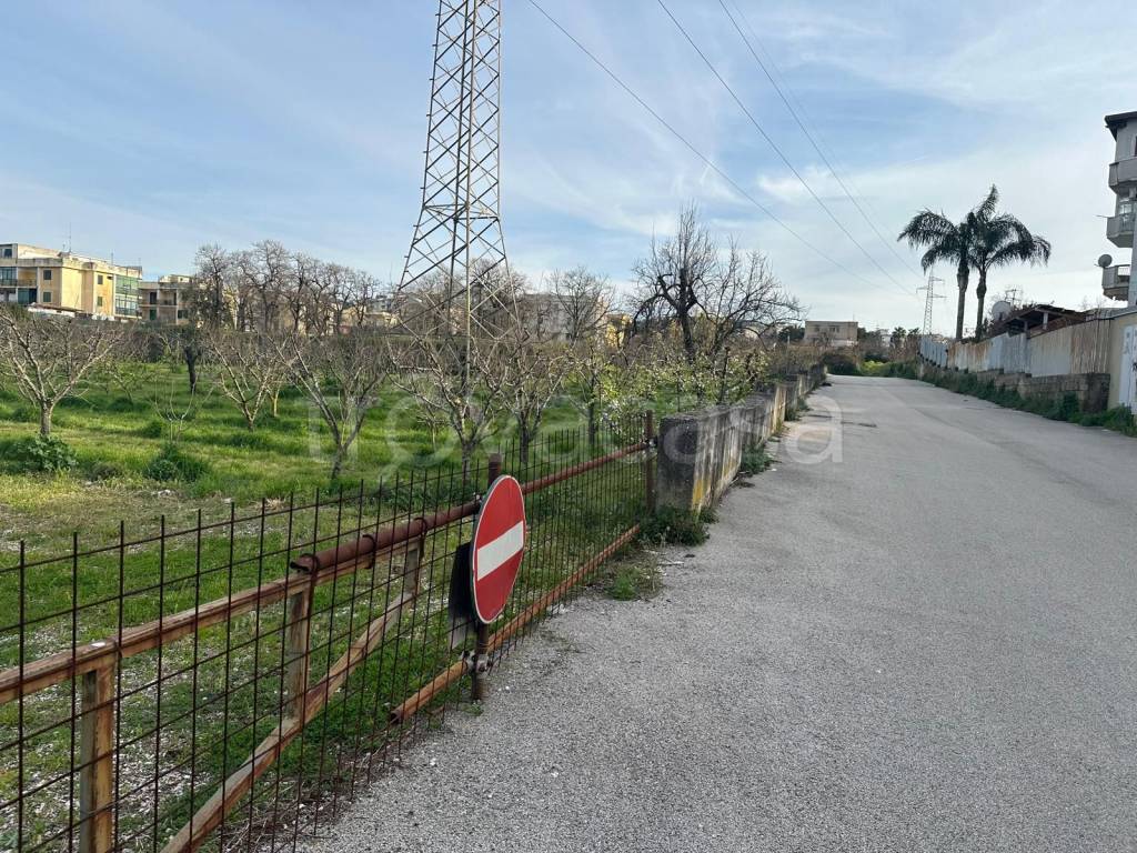 immagine annuncio 5 di 7