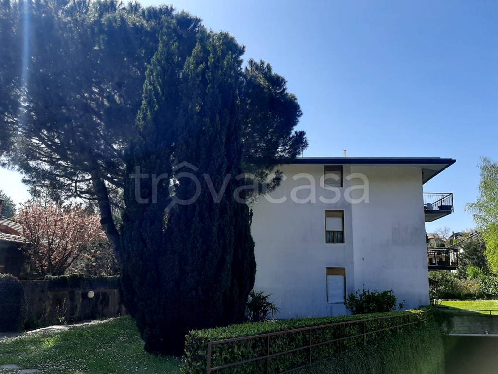 immagine annuncio 3 di 6