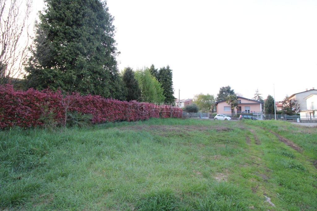 immagine annuncio 3 di 6