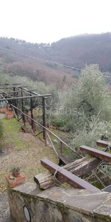 immagine annuncio 9 di 14