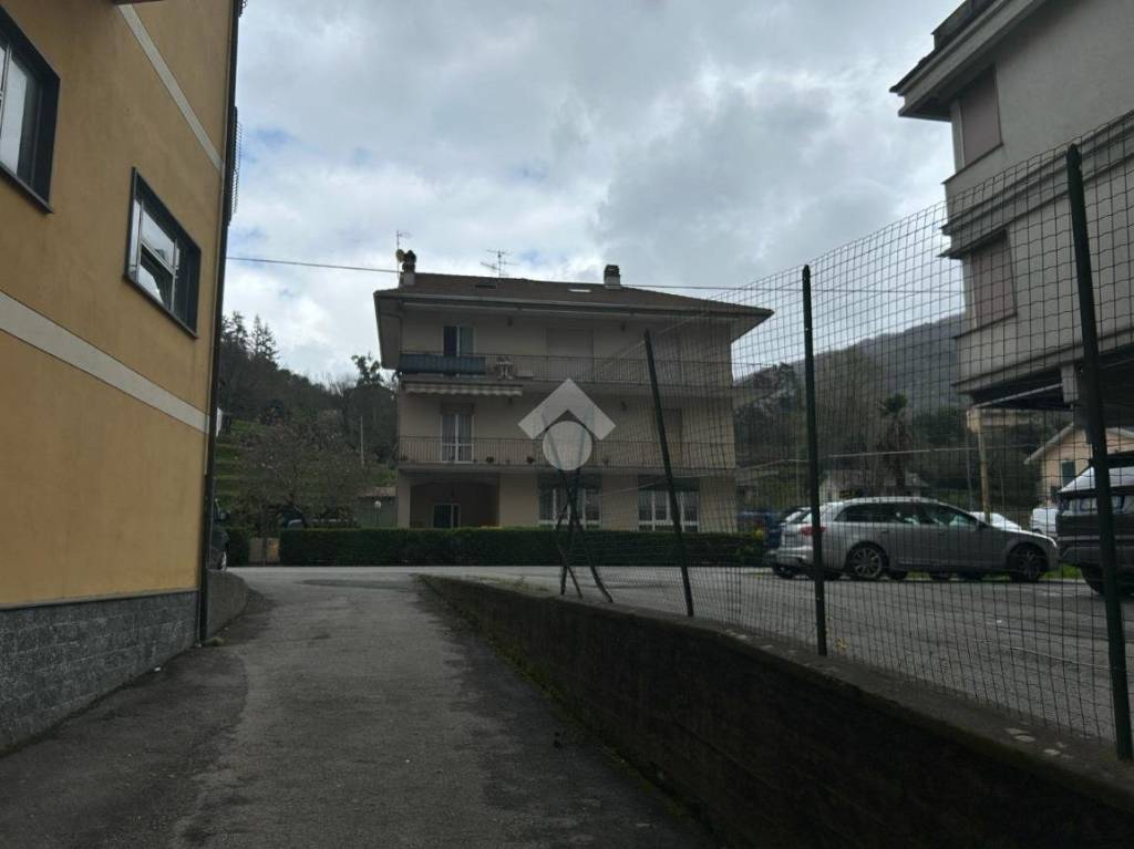 immagine annuncio 4 di 6