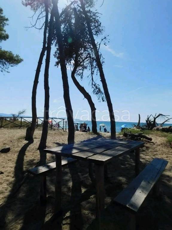 immagine annuncio 7 di 9