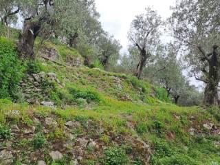 Terreno agricolo in vendita a pellezzano 