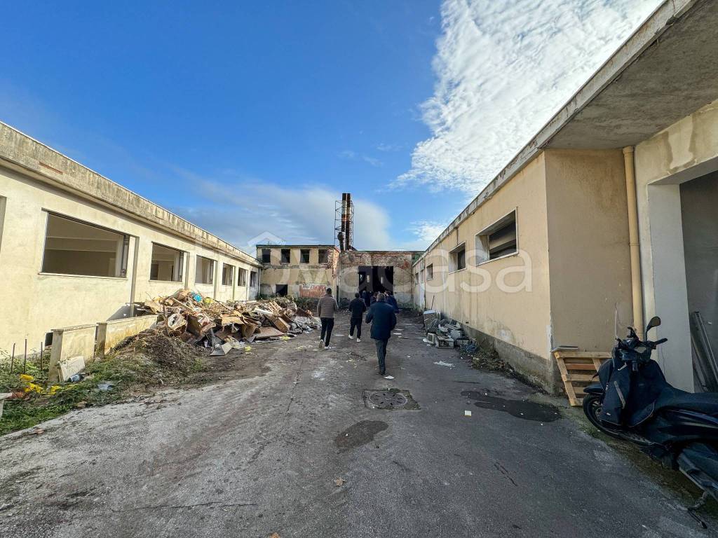 immagine annuncio 1 di 2