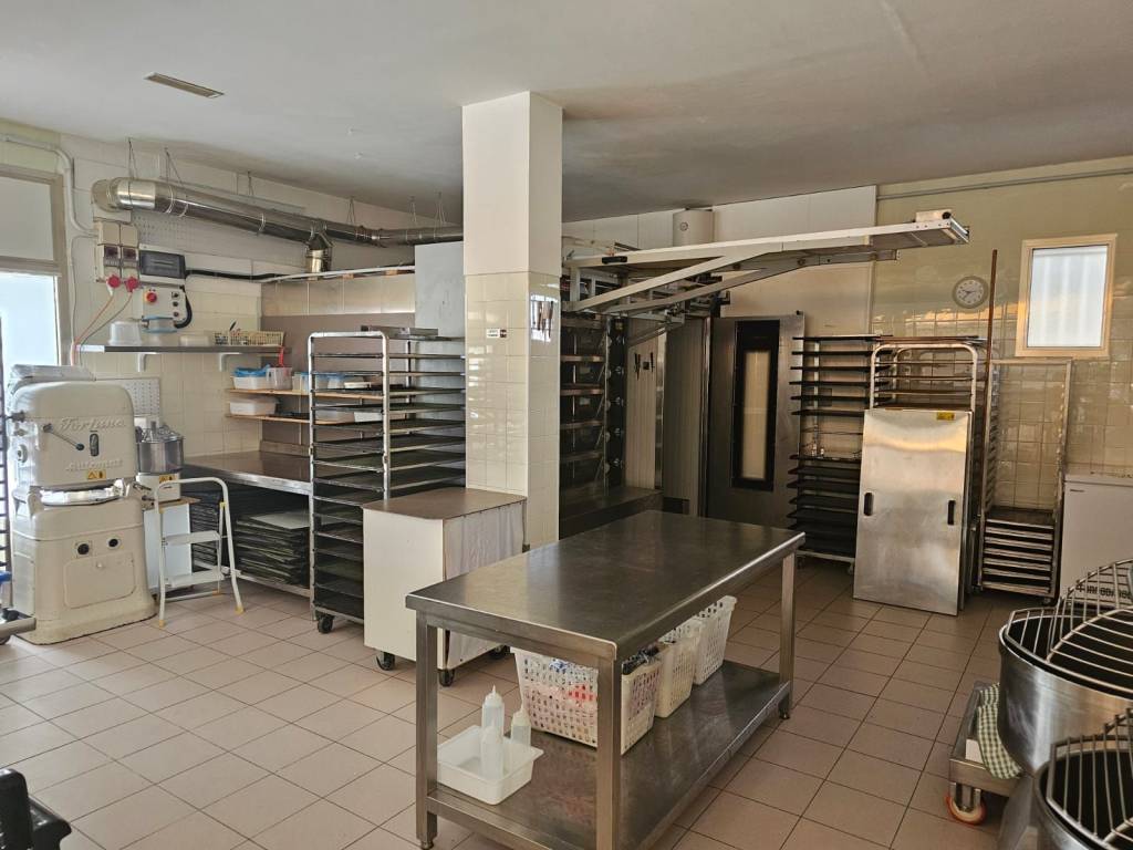 immagine annuncio 5 di 11