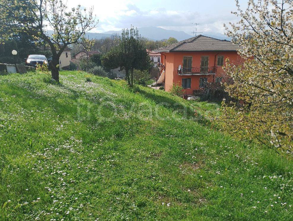 immagine annuncio 1 di 6