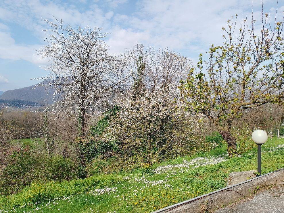 immagine annuncio 2 di 6