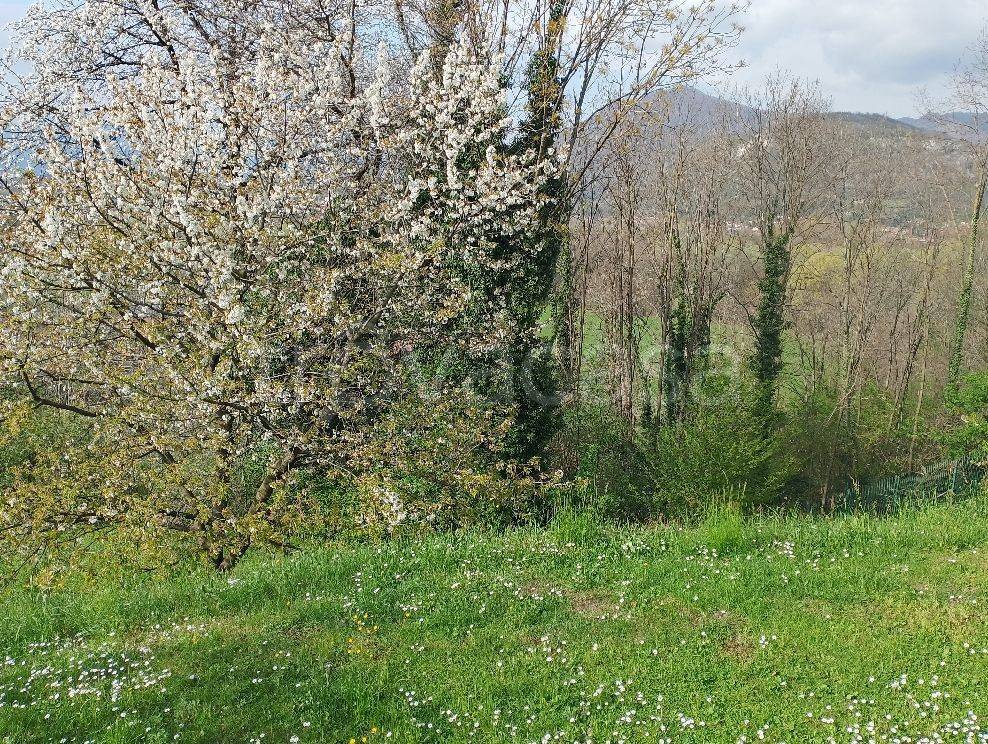 immagine annuncio 3 di 6