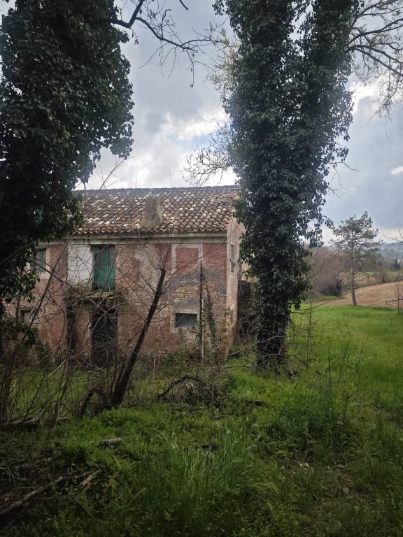 immagine annuncio 4 di 7