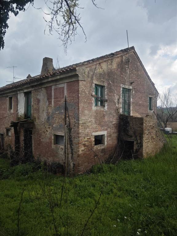 immagine annuncio 1 di 7