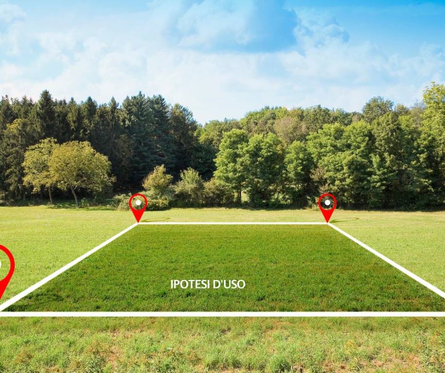 immagine annuncio 9 di 12