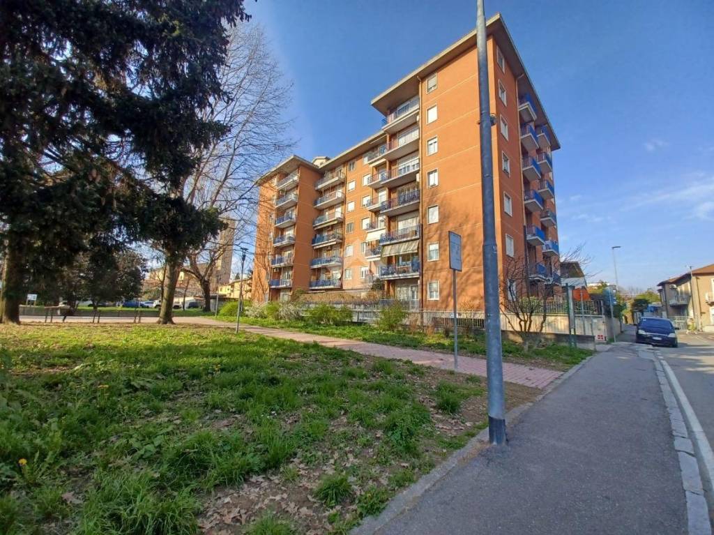 immagine annuncio 5 di 15