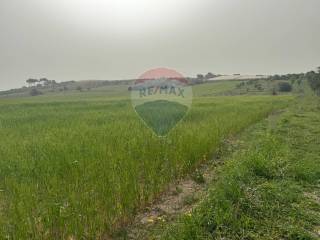 Terreno agricolo in vendita a noto contrada bufalefi