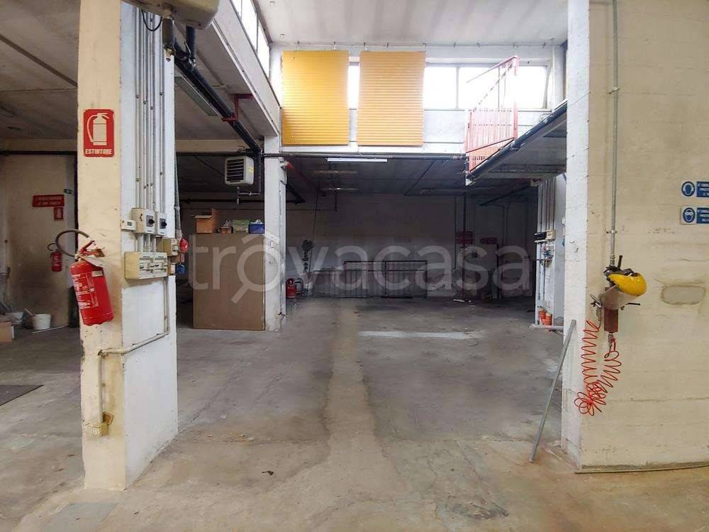immagine annuncio 3 di 12