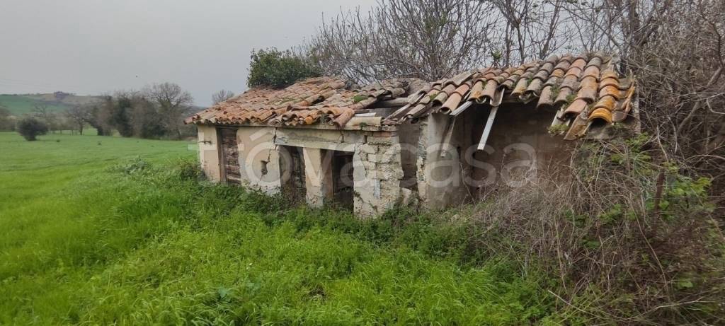 immagine annuncio 8 di 12