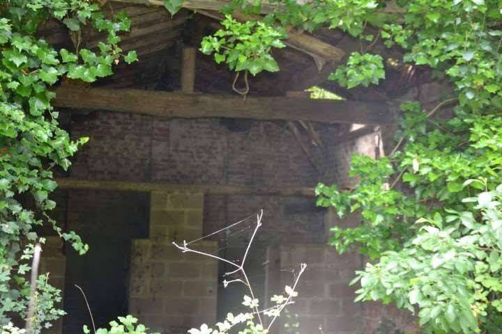 immagine annuncio 7 di 11