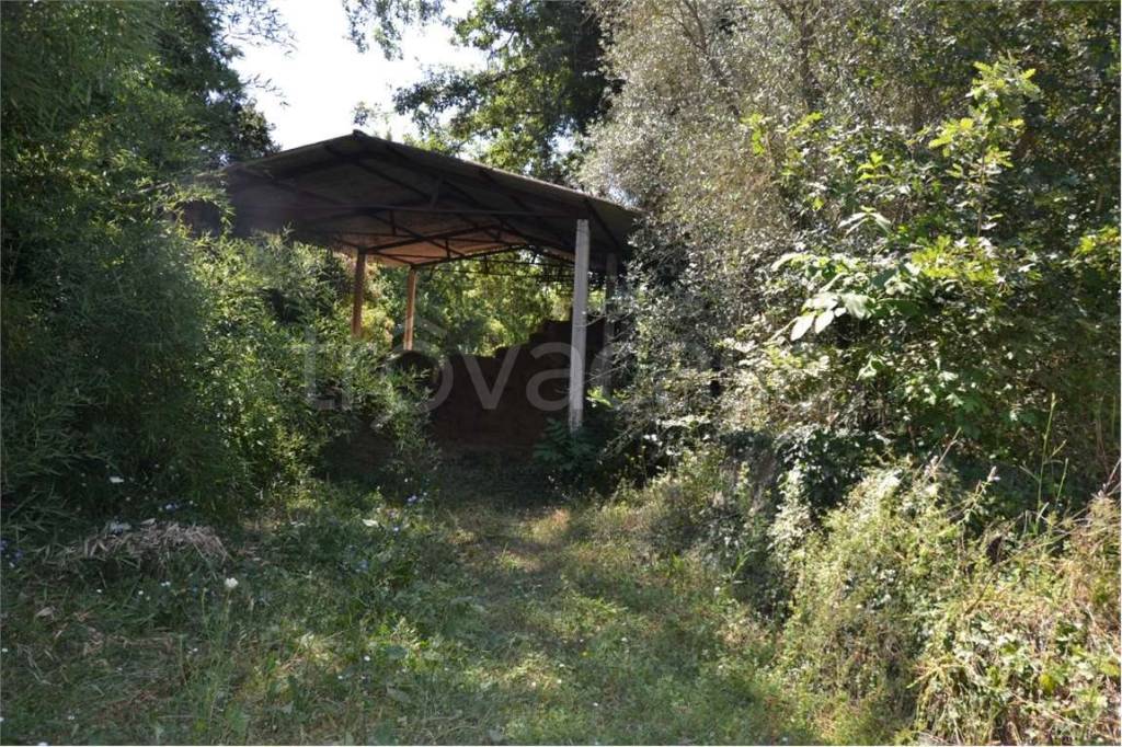 immagine annuncio 8 di 11