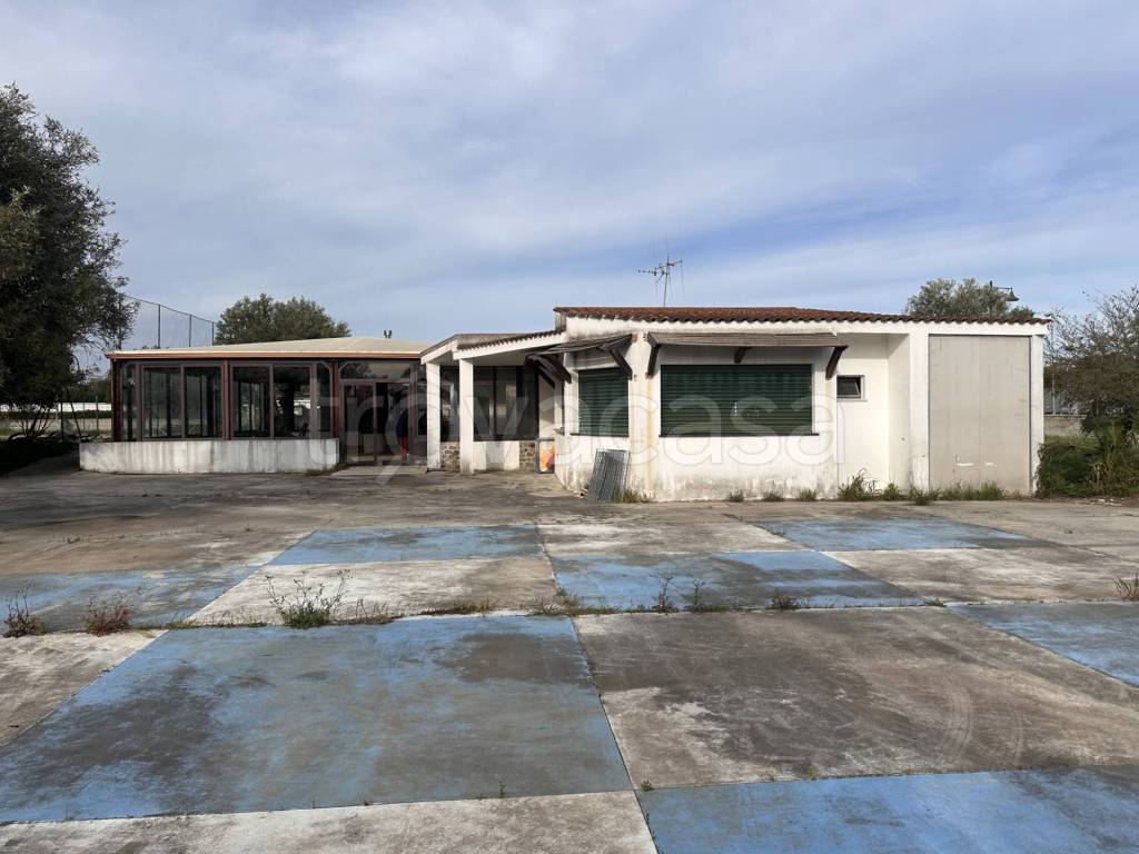immagine annuncio 1 di 12