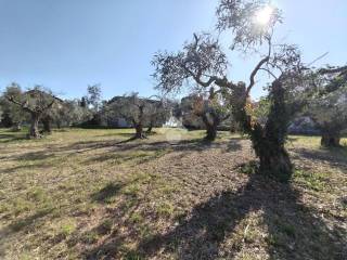 Terreno residenziale in vendita a pescara strada colle di mezzo