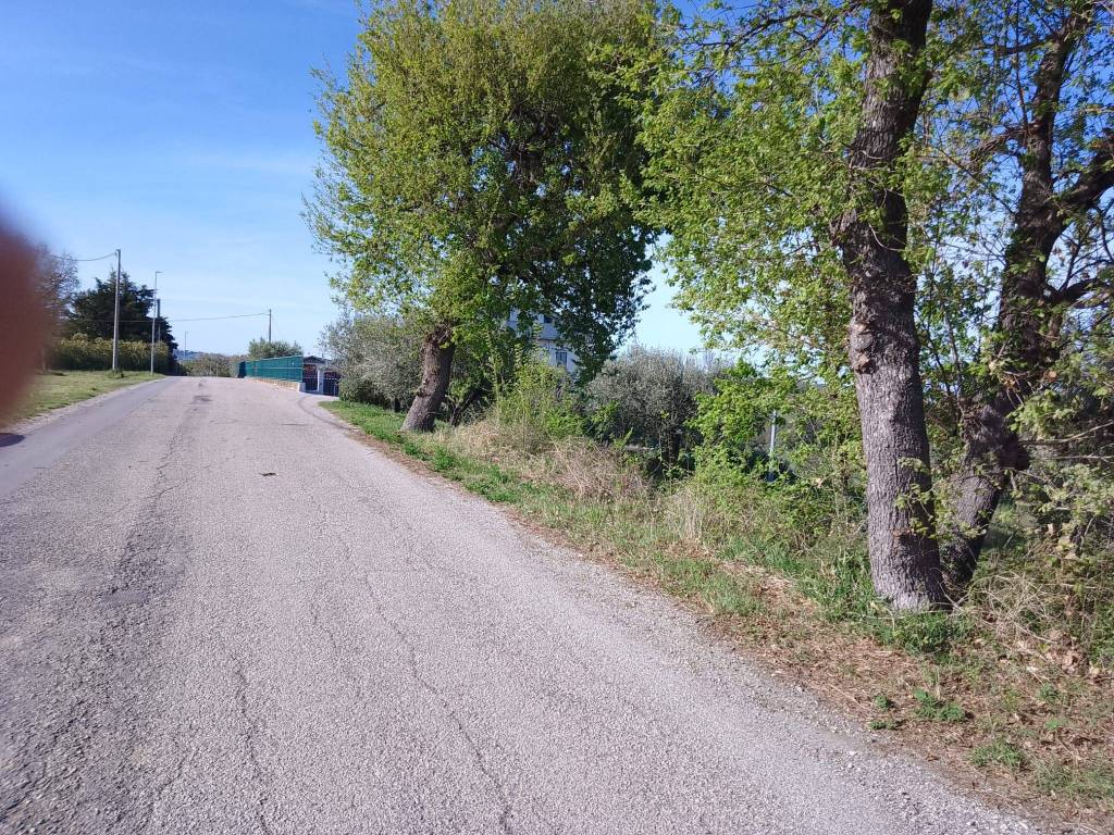 immagine annuncio 4 di 7