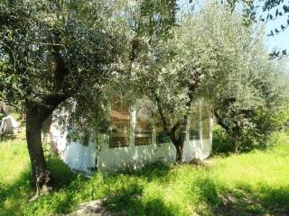 Terreno agricolo in vendita a teramo via gammarana