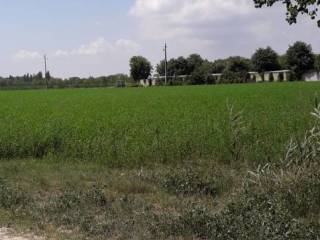 Terreno agricolo in vendita a comacchio via scolo spadina