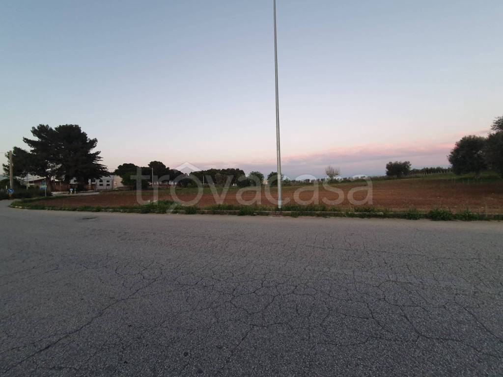 immagine annuncio 9 di 12