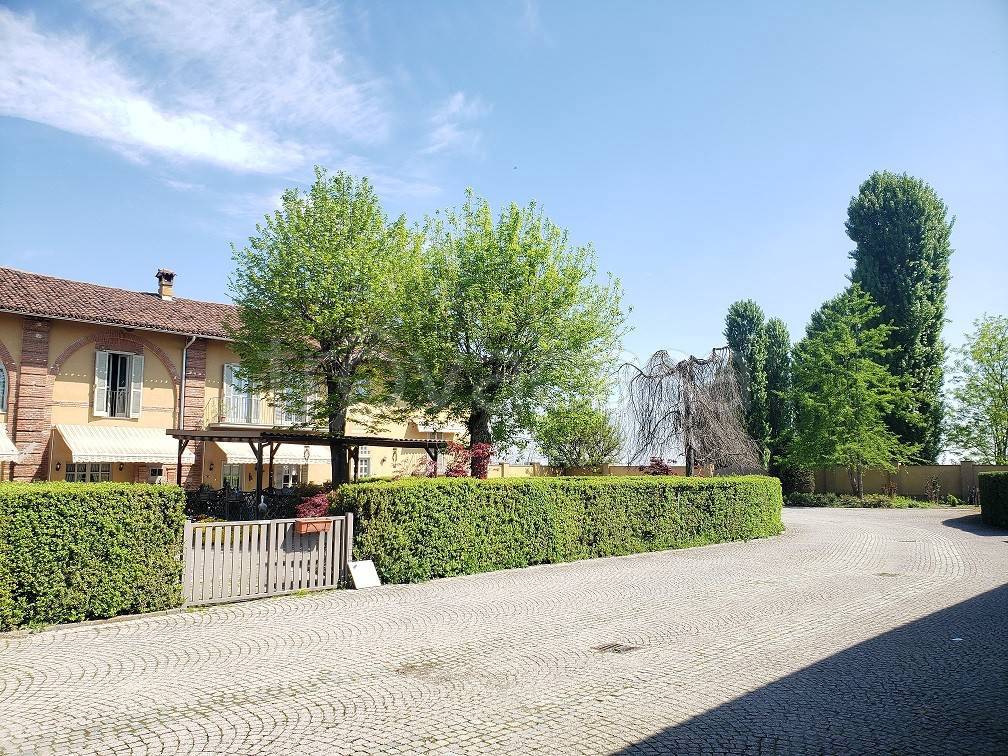 immagine annuncio 10 di 15