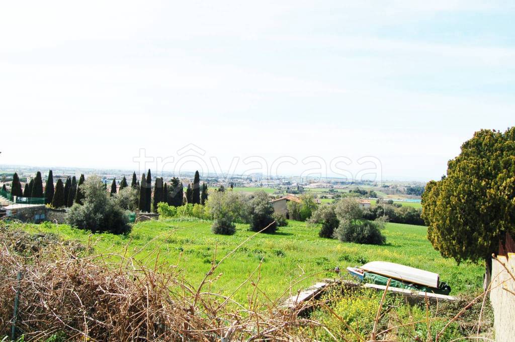 immagine annuncio 6 di 14