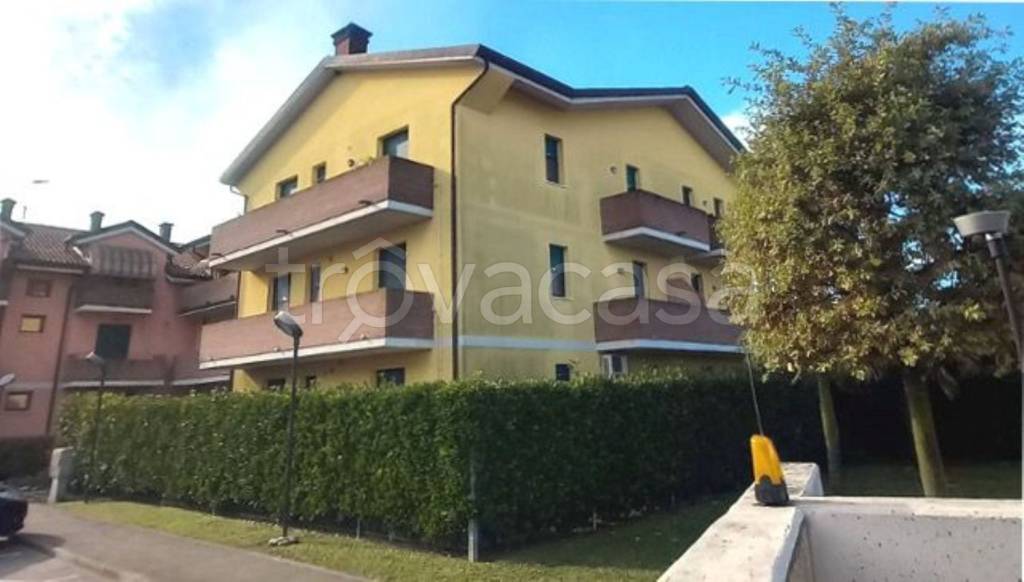immagine annuncio 1 di 14
