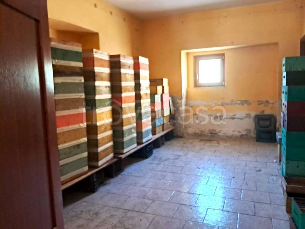 immagine annuncio 1 di 7