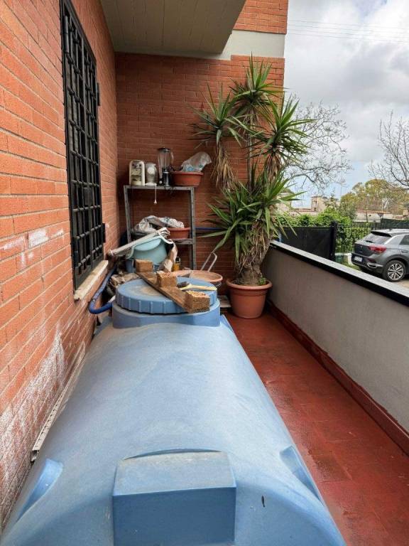 immagine annuncio 2 di 12