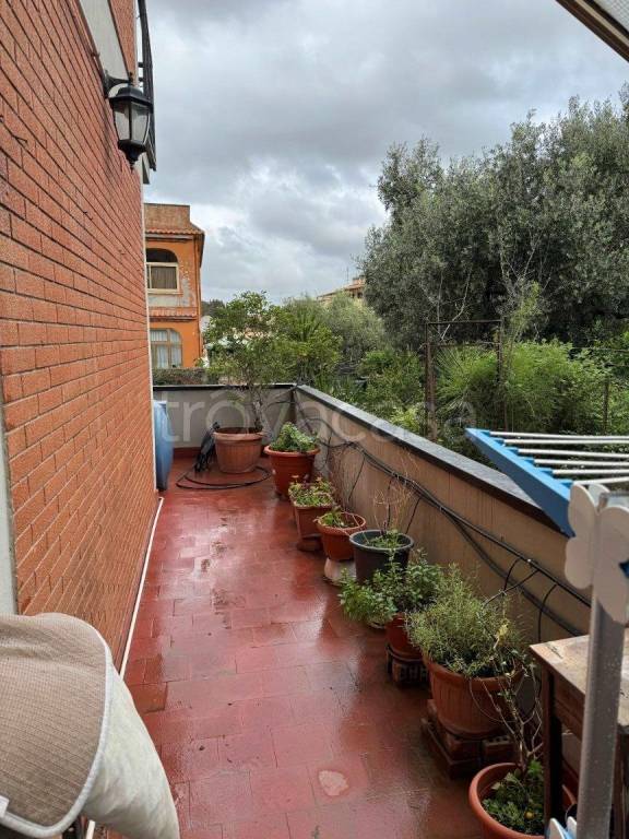 immagine annuncio 9 di 12