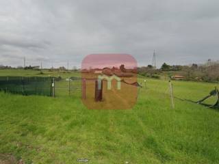 Terreno agricolo in vendita a san cesareo via dei visoni s.n.c.