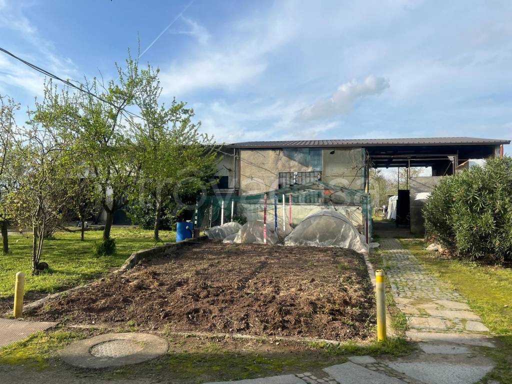 immagine annuncio 4 di 15