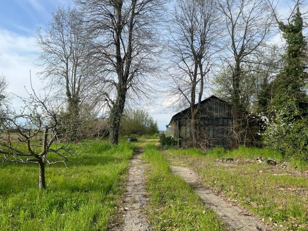 immagine annuncio 12 di 15