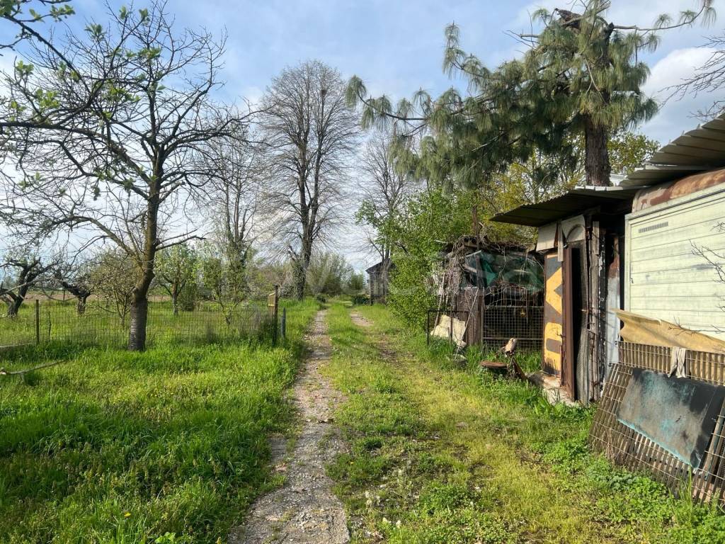 immagine annuncio 13 di 15